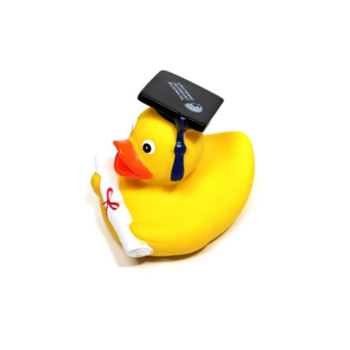 Graduates Duck with exams and typical, black cap