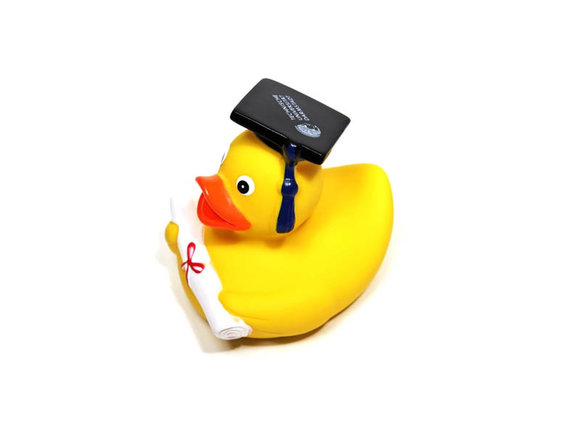 Graduates Duck with exams and typical, black cap